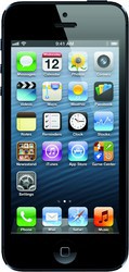 Apple iPhone 5 64GB - Каменск-Уральский